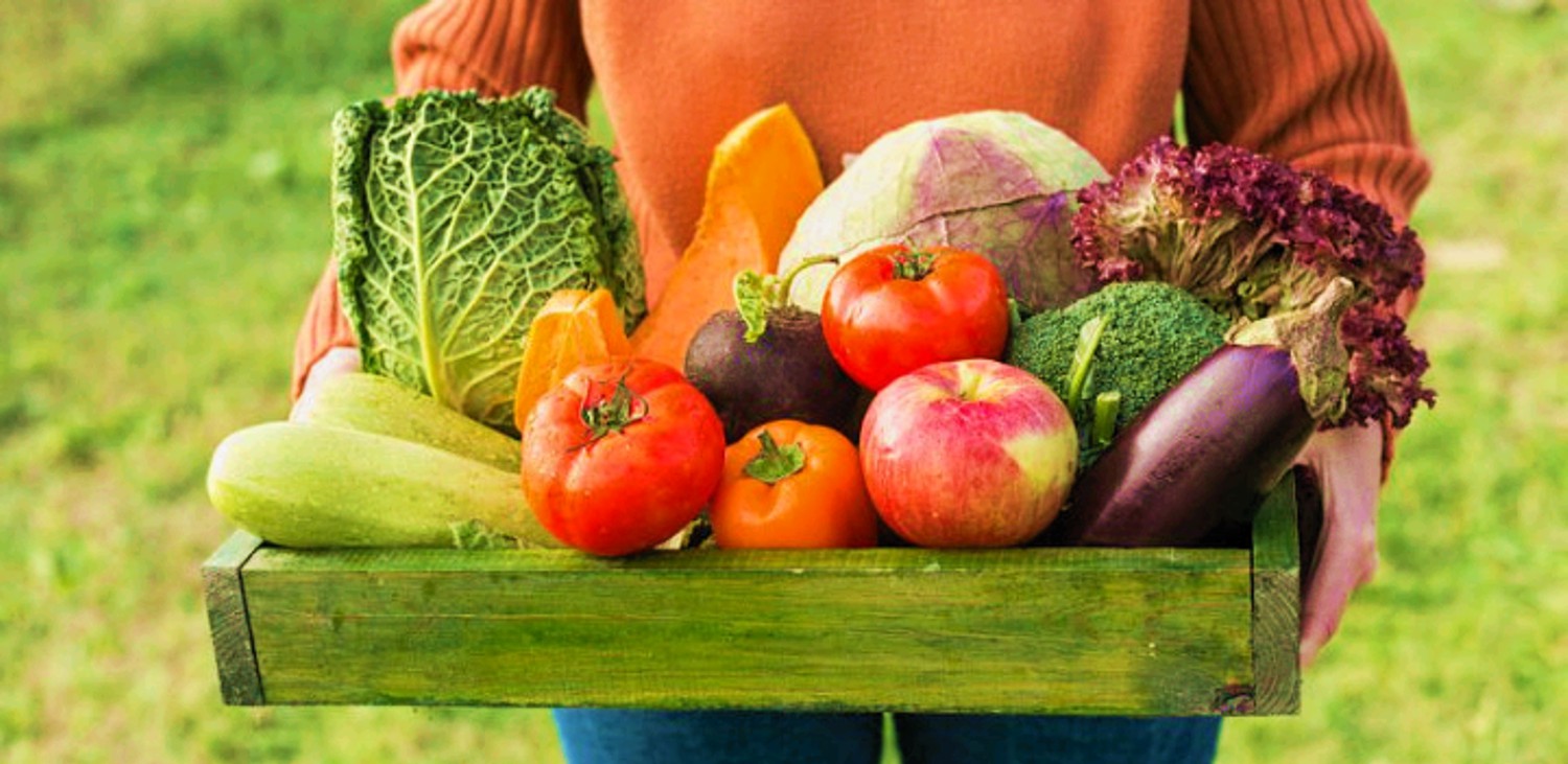porque-elegir-alimentos-agroecologicos